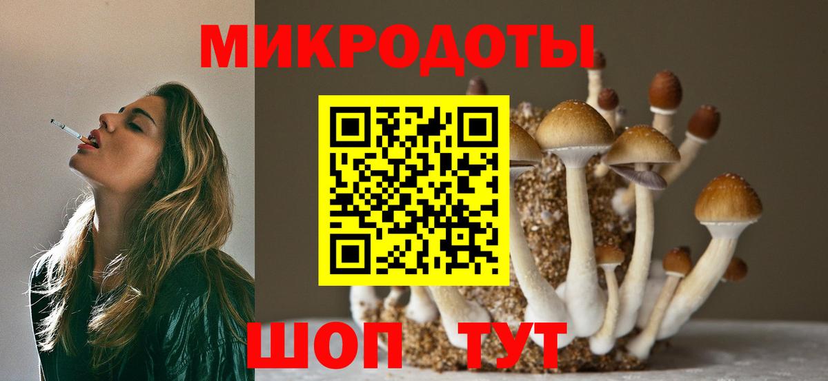 Камень-на-Оби  Галлюциногенные грибы ЛСД  сколько стоит  Вход с VPN 